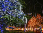 Christmas Wallpapers 205